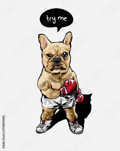 angry dog boxing athlete vector illustration - hand drawn