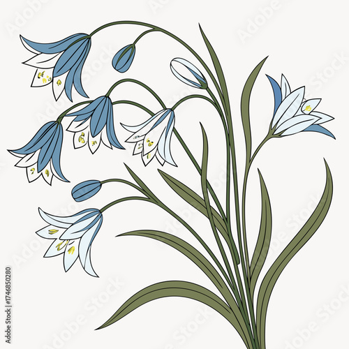 Vector art of a charming floral illustration showcases a delicate bouquet of bluebell flowers, their graceful stems and bellshaped blossoms creating a whimsical and elegant design