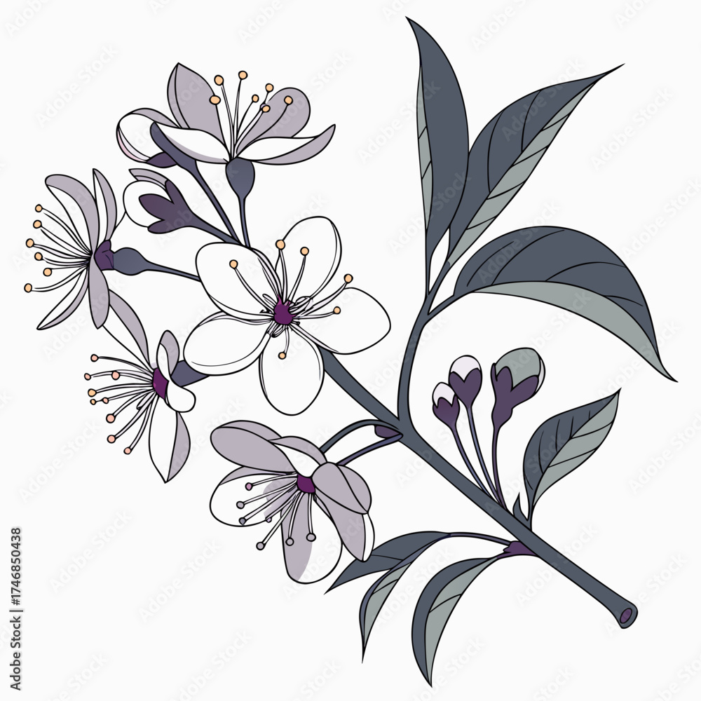 Fototapeta premium Vector art of a delicate cherry blossom branch, adorned with pristine white flowers and nascent buds, captures the ephemeral beauty of spring