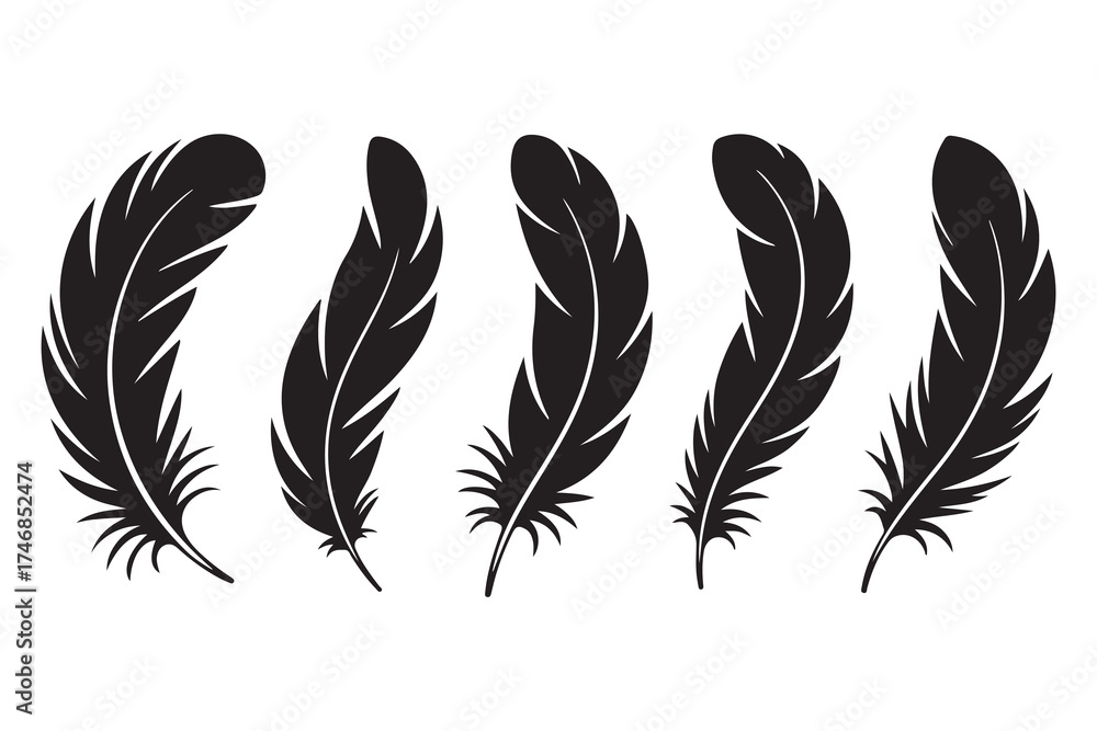 Obraz premium Set of five black feather silhouettes isolated on white background minimalist style 
