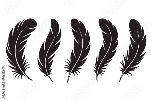 Set of five black feather silhouettes isolated on white background minimalist style
