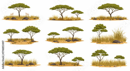 African savanna vignettes featuring acacia trees dry grass and scattered rocks