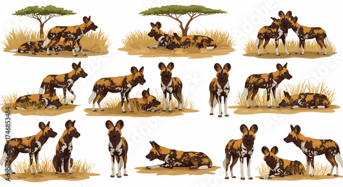African wild dogs in various poses on dry savanna ground with sparse grass and trees
