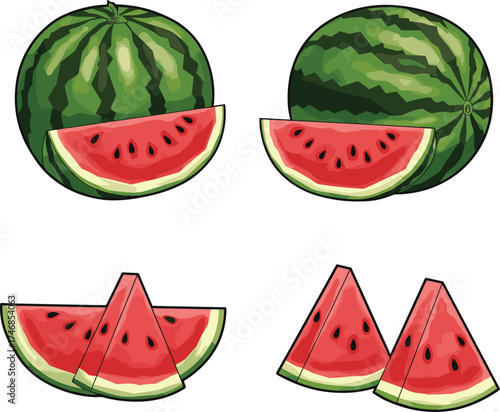 Fresh watermelon fruit illustration, whole watermelons, sliced watermelon wedges, juicy red flesh, tropical summer fruit, organic healthy food, botanical drawing, seasonal harvest
