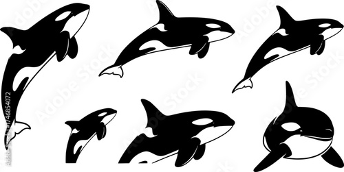Orca Whale Silhouette Vector Art: Killer Whale Icon Set Graphics
