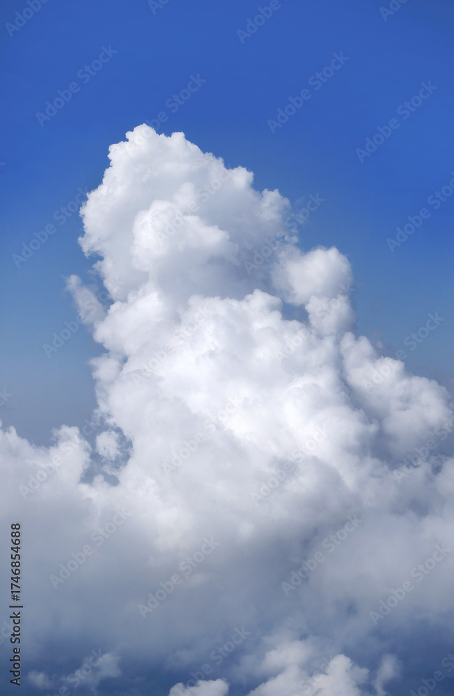 Obraz premium Low angle view bright blue SKY and white fluffy natural shape CLOUDS, skyscape and cloudscape view for background