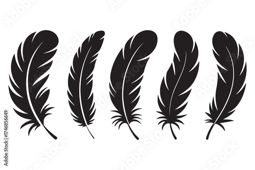 Set of five black feather silhouettes isolated on white background minimalist style
