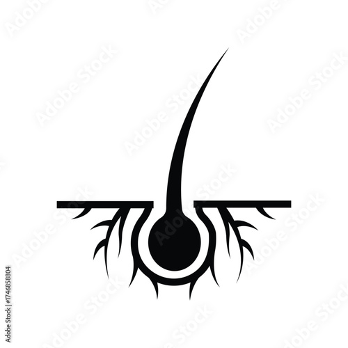 Single hair growing from skin and follicle shown in black silhouette on white background