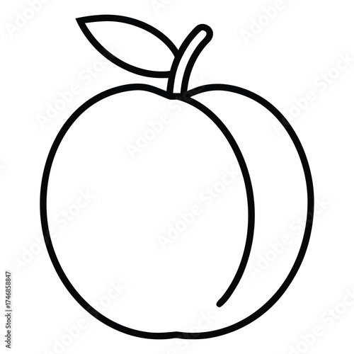 apricot vector line art icon