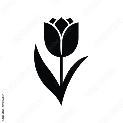 A black tulip flower illustration stands vertically against a white background showing leaves