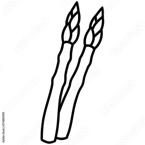 asparagus vector line art icon