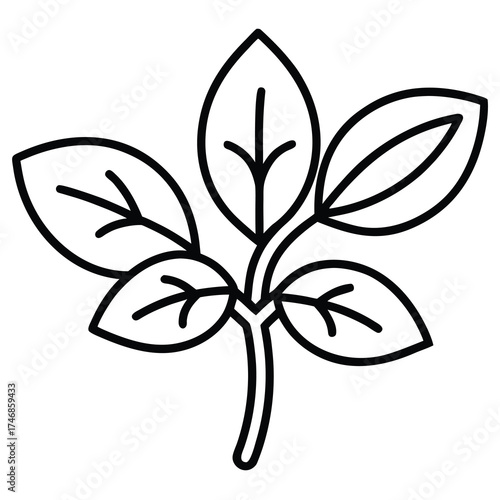 basil bunch vector line art icon