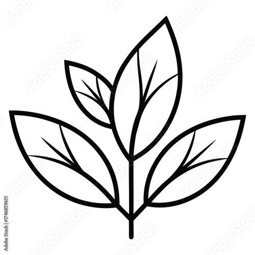 bay leaf bunch (1) vector line art icon