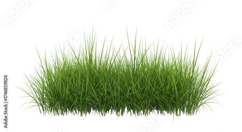 Valokuva Isolated green grass clump, healthy lawn, natural texture, eco-friendly environm