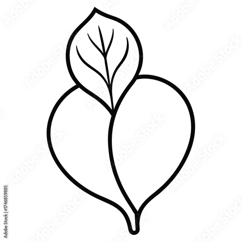 beet leaf vector line art icon