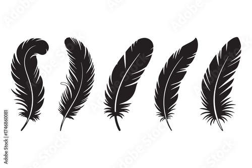 Set of five black feather silhouettes isolated on white background minimalist style
