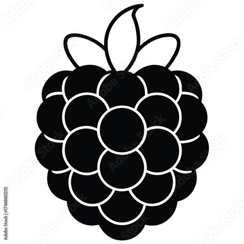 blackberry  vector line art icon