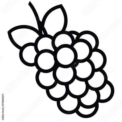 blackberry bunch vector line art icon