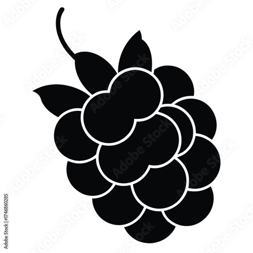 blackberry vector line art icon