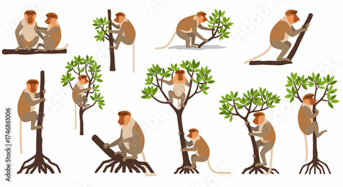 Proboscis monkeys in various poses climbing trees and sitting on branches