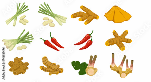 Illustrations of various Thai culinary herbs and spices on a white background