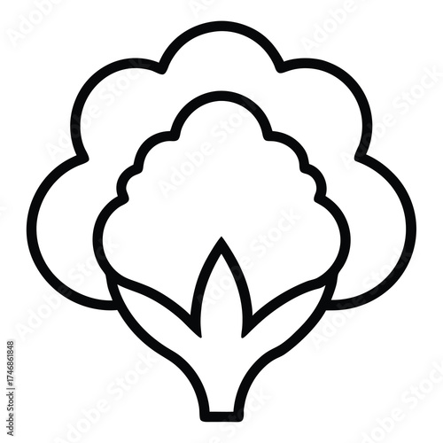 cauliflower floret vector line art icon