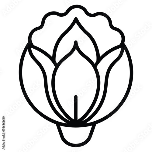 chinese cabbage vector line art icon