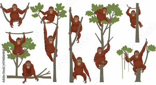 A collection of illustrations depicting orangutans interacting with trees and vines
