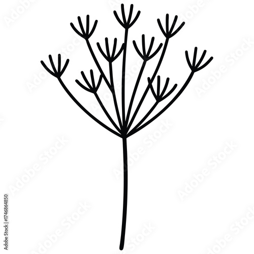 dill bunch vector line art icon