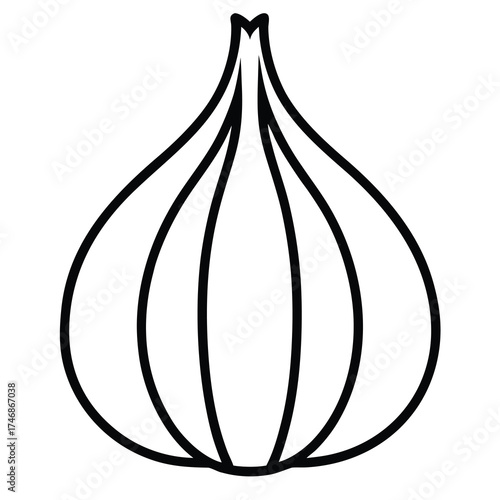 garlic clove vector line art icon