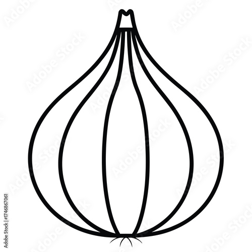 garlic bulb vector line art icon