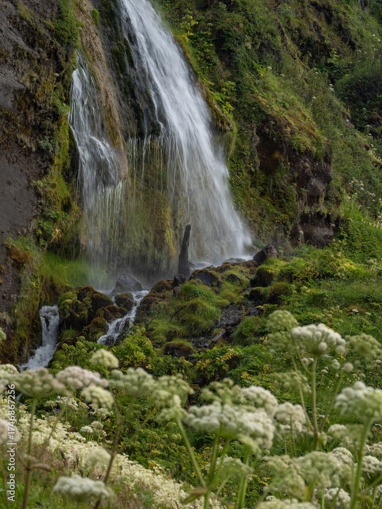 Fototapeta premium the waterfall Seljalandsfoss in Iceland