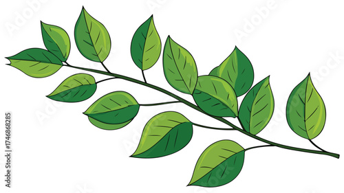 Vibrant Green Leaf Plant Branch - Botanical Nature Growth in Spring