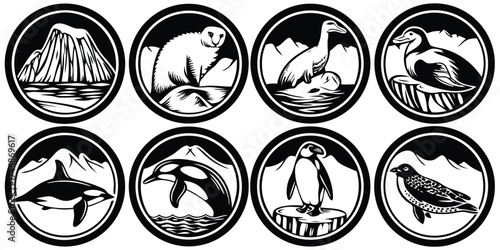 Vector art of arctic and Antarctic animals and landscapes in black and white collection