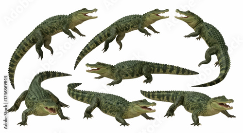 Collection of Realistic Alligator Figurines in Various Poses.