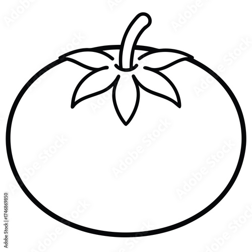 heirloom tomato vector line art icon