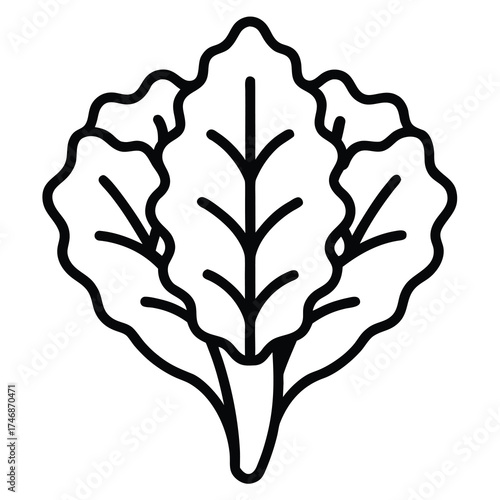 kale vector line art icon