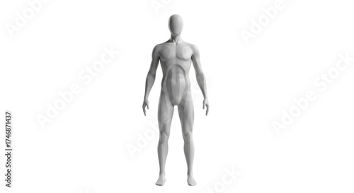 Fotografie Isolated male mannequin, rendering of a human form representing a body shape sta