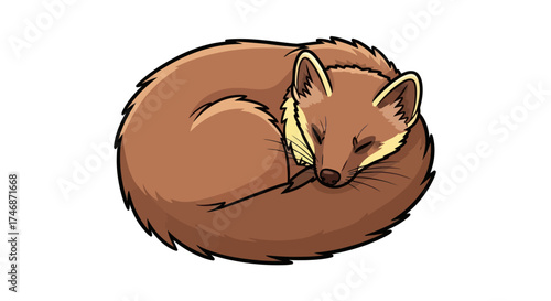 Adorable Cartoon Marten Curled Up Sleeping Peacefully.