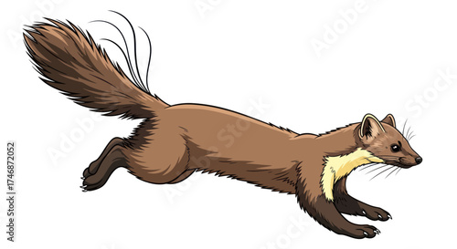A brown marten with a bushy tail in mid-leap.