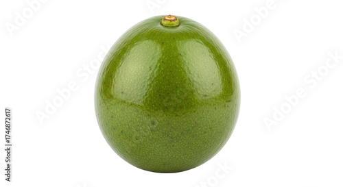 Isolated green avocado fruit with a small stem on top, ready to eat a healthy snack
