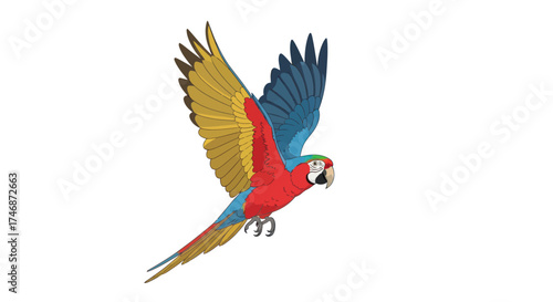 Vibrant Scarlet Macaw Parrot in Mid-Flight with Wings Spread Wide.