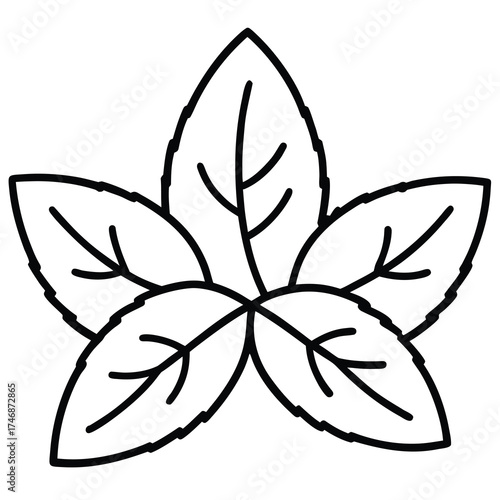 mint leaves vector line art icon