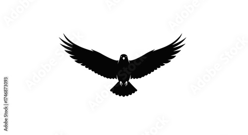 Silhouette of a majestic eagle with wings spread wide in flight.