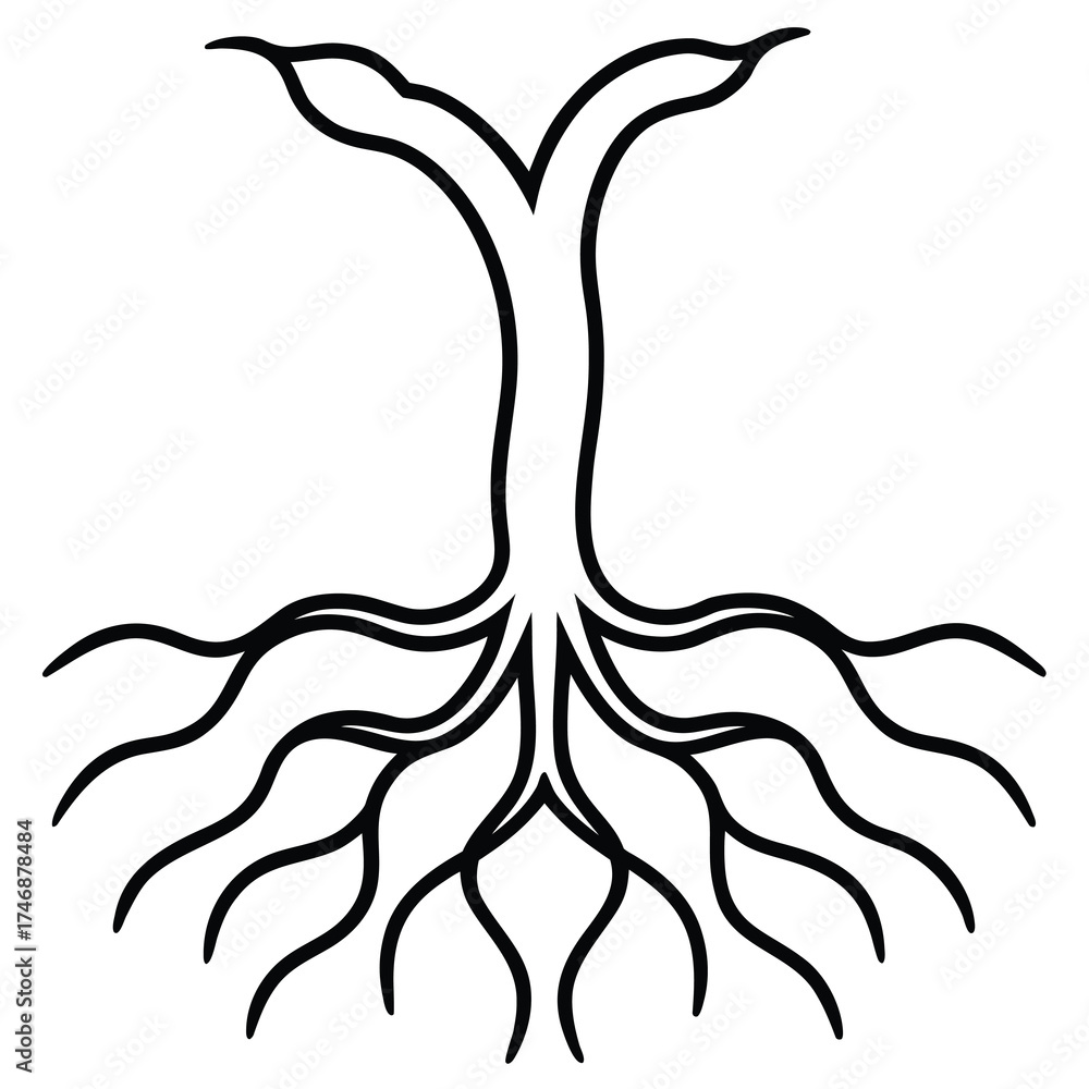 Obraz premium roots vector line art icon