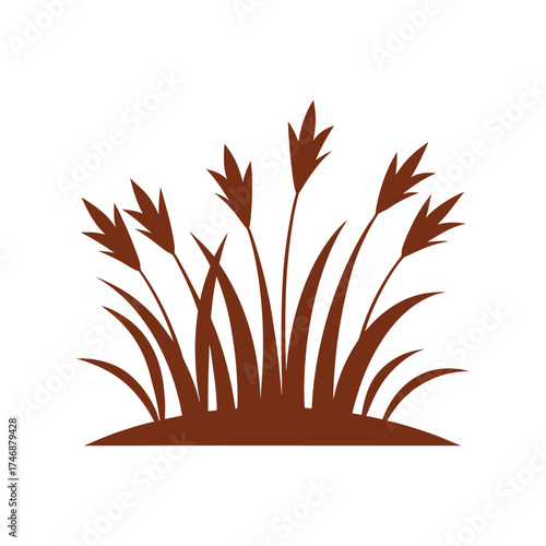 Field rush grass on white background vector art illustration