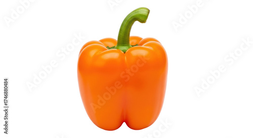 Isolated orange bell pepper with stem, a single capsicum fruit, rich in vitamins, raw food