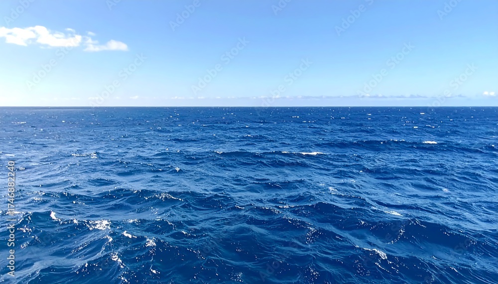 Fototapeta premium Vast blue ocean under a clear sky