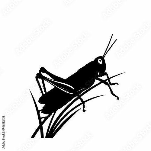 Silhouette vector illustration of a grasshopper perched on blades of grass scalable eps icon