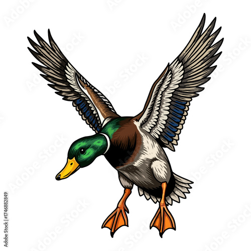mallard duck hunting illustration logo vector image t shirt